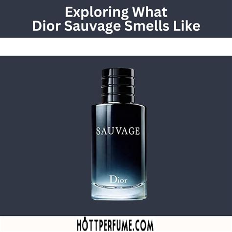 sauvage dior smell like